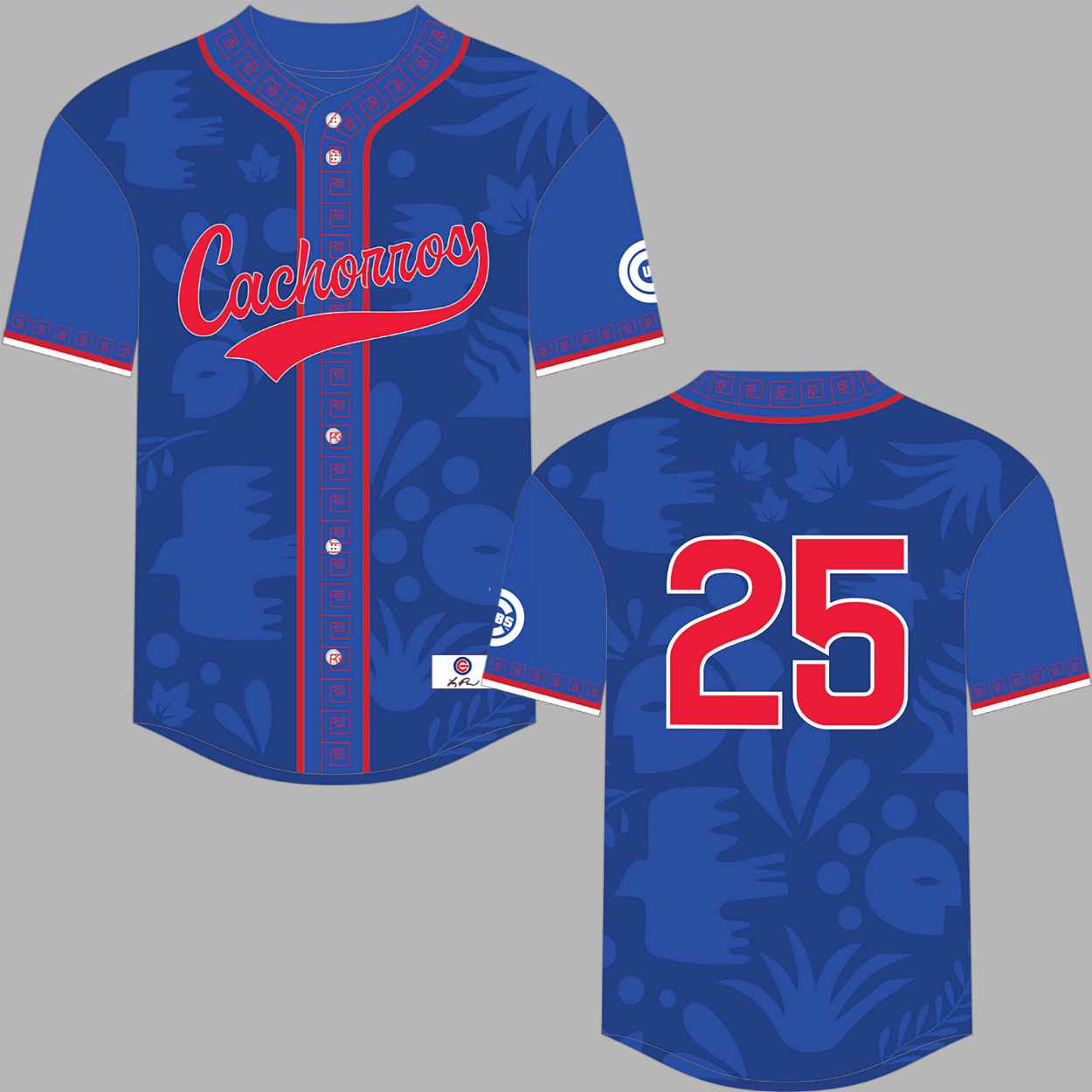 2025 Cubs Hispanic and Latino Heritage Month Celebration Jersey Giveaway